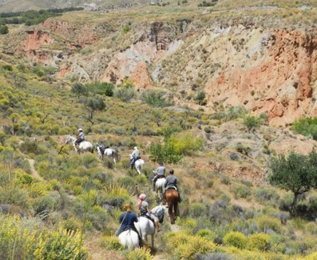 impresionante ruta a caballo
